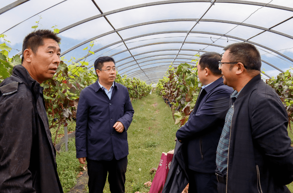 胡书龙到河镇乡调研督导巩固拓展脱贫攻坚成果同乡村振兴有效衔接等