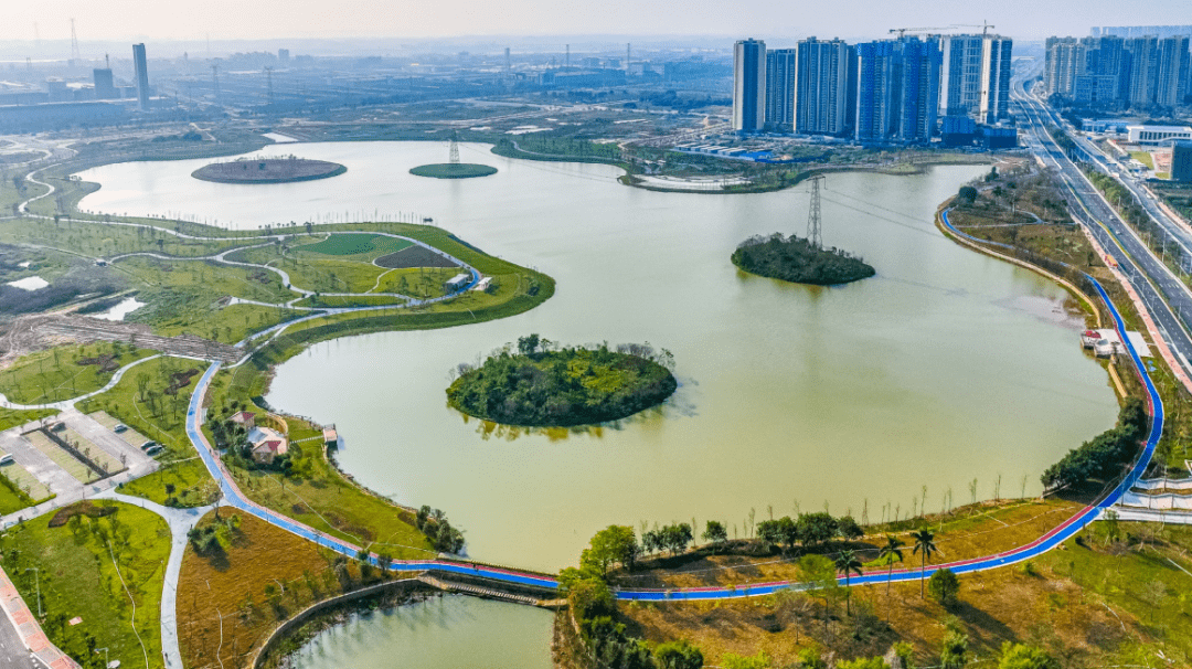 肇庆这个高速出入口开通!_公园_新区_健身