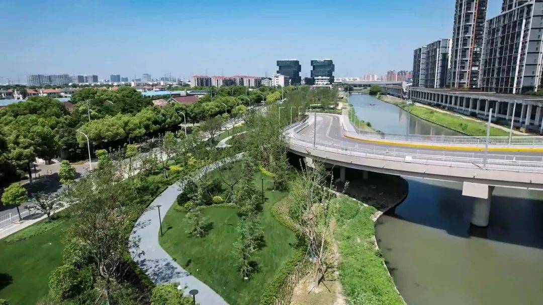 "中心绿地,生态廊道,口袋公园……"徐泾镇生态空间"满目青绿"_林地