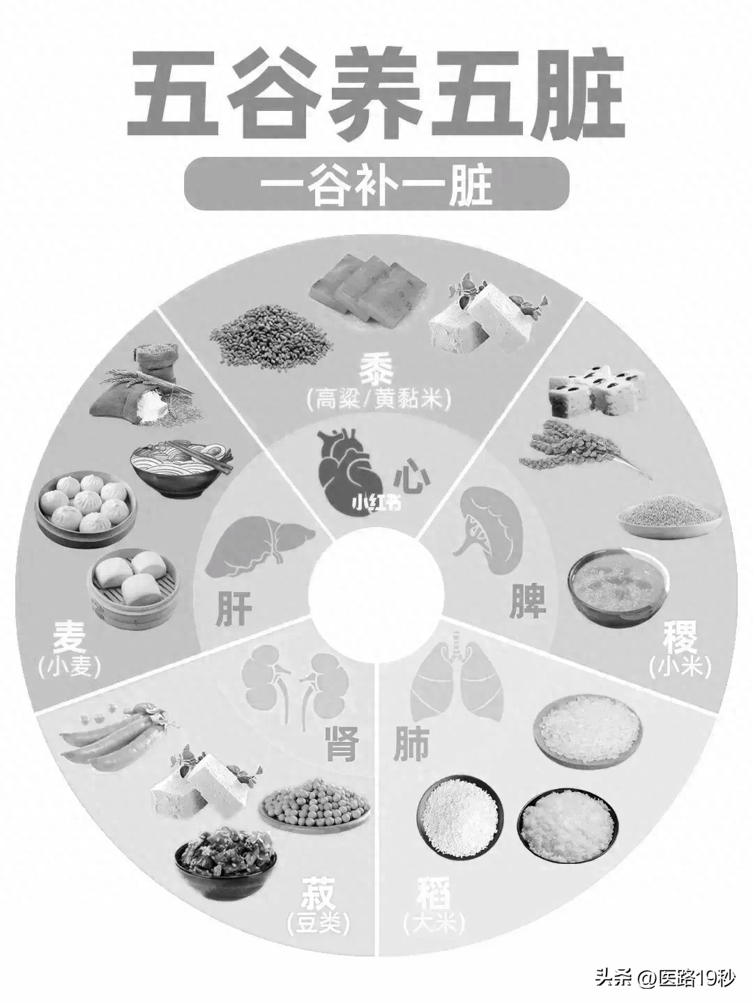五谷养生具体怎么养,你知道吗?一谷补一脏!