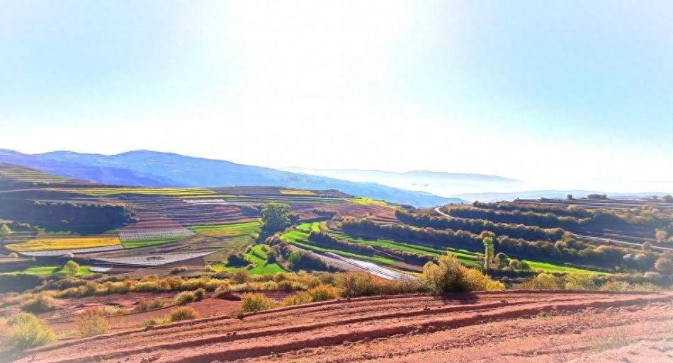 桦林等乡镇实施了坡耕地,小流域综合治理,淤地坝建设等项目,新修谷坊