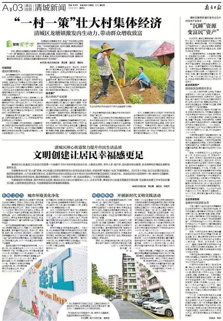 清城区龙塘镇:"一村一策"壮大村集体经济_种植_丰村_红薯