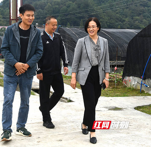 新邵县委书记到龙溪铺镇迎光乡开展调研_工作_发展_乡村