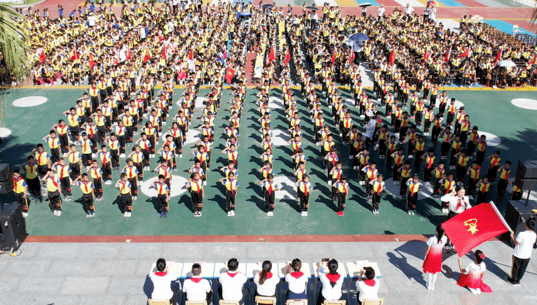 孟连县民族小学开展中国少年先锋队建队日活动_耕地_保护_犯罪