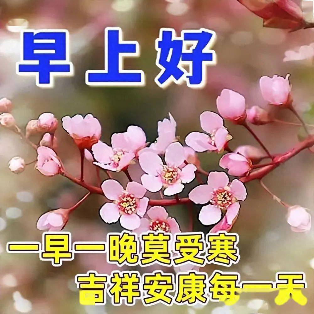 请多保重,用快乐度过每个新的一天.早上好!