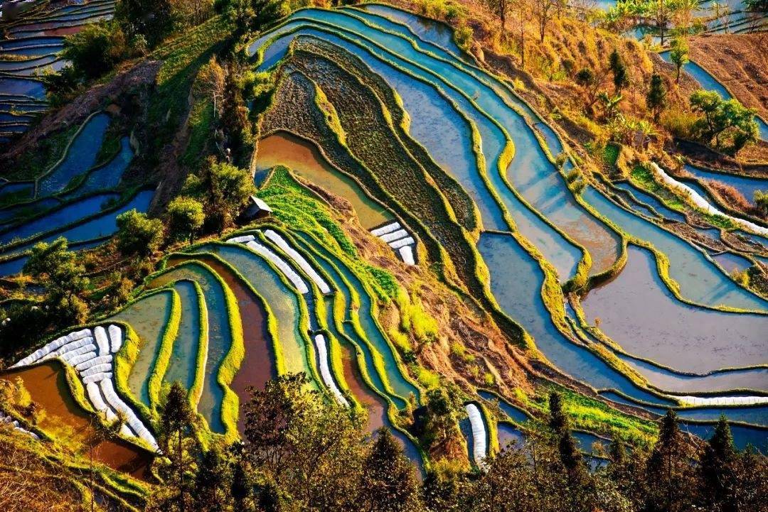 元阳哈尼梯田景区图片