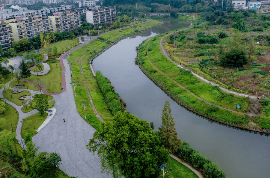 沙坪坝清水溪湿地公园图片