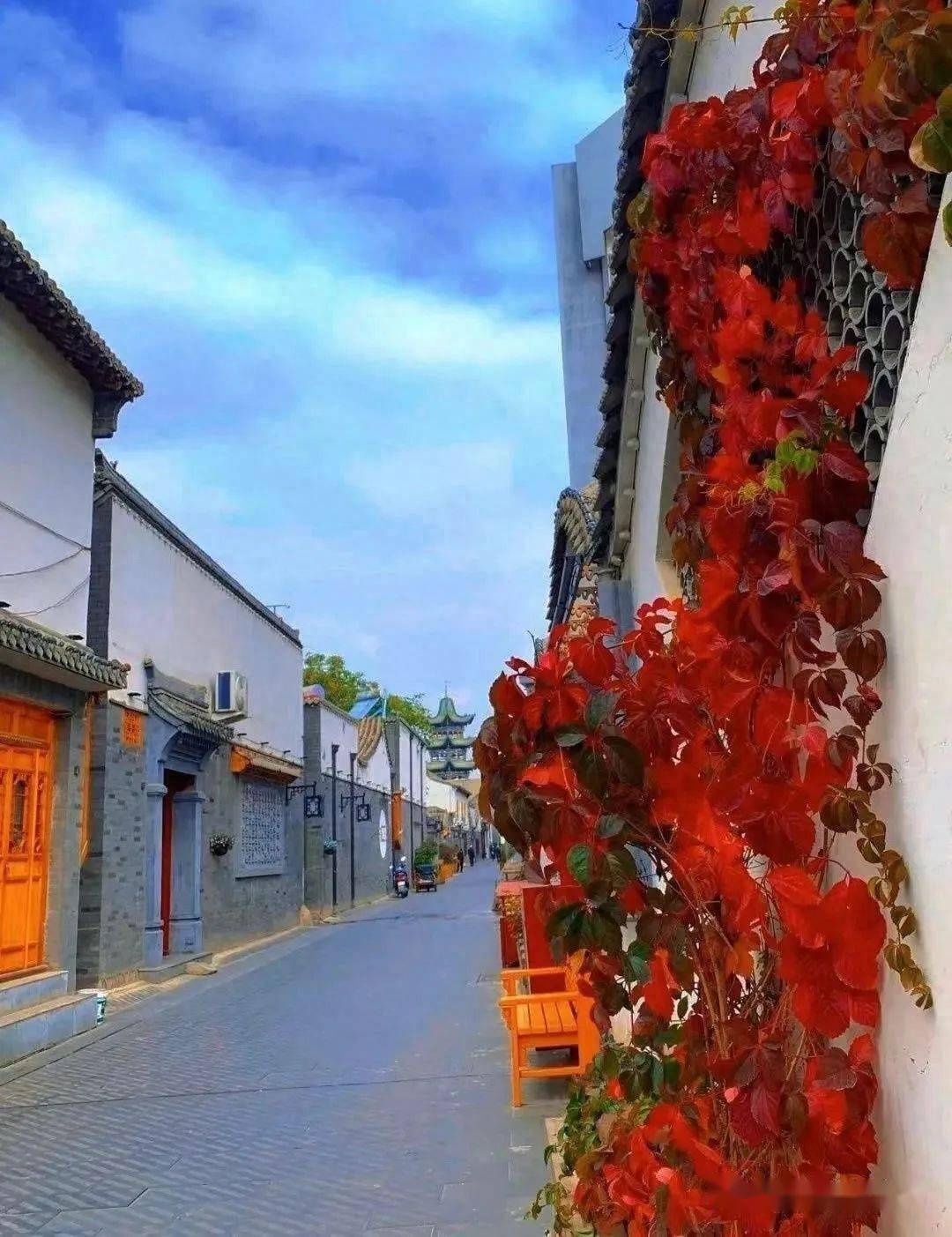 临夏的各大景区的绚丽秋色都藏在这些地方啦~