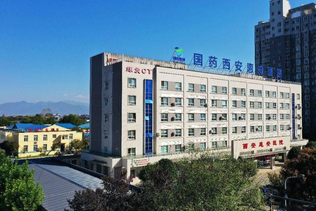 镇痛周,敲重点,您要的都在这