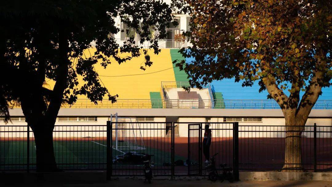 快来领取!_树叶_鲁大人_阳光