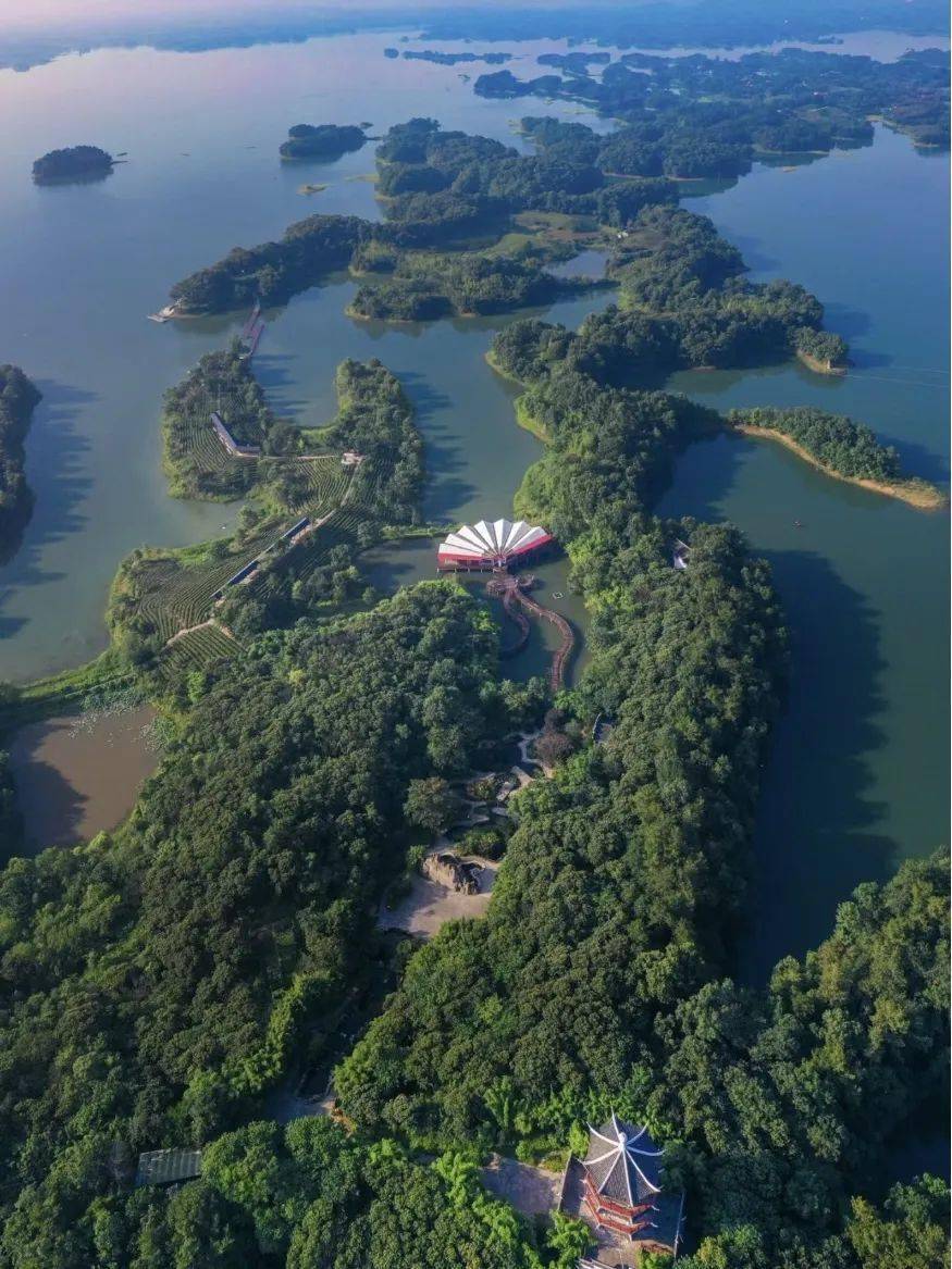 天目湖鸟岛图片