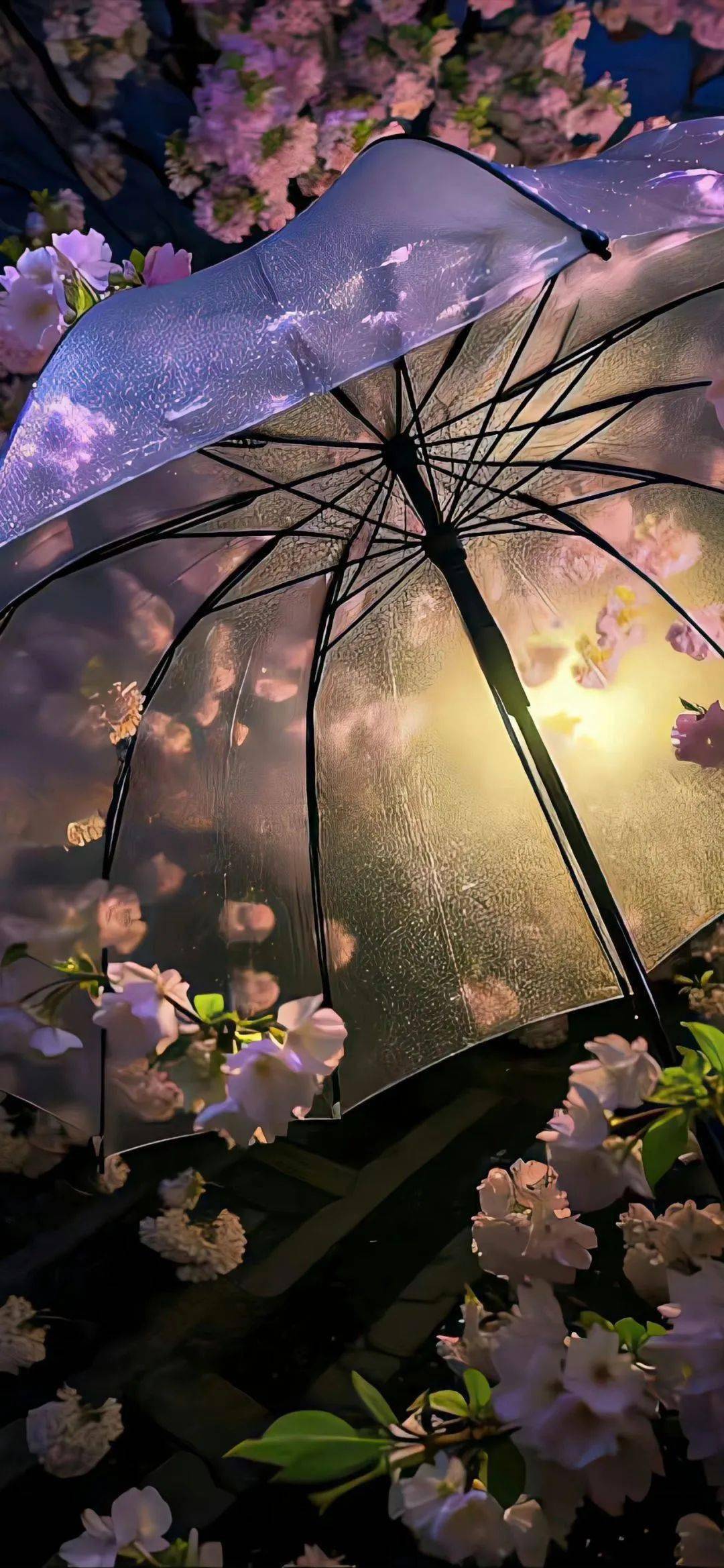 壁纸 | 心动自用壁纸分享