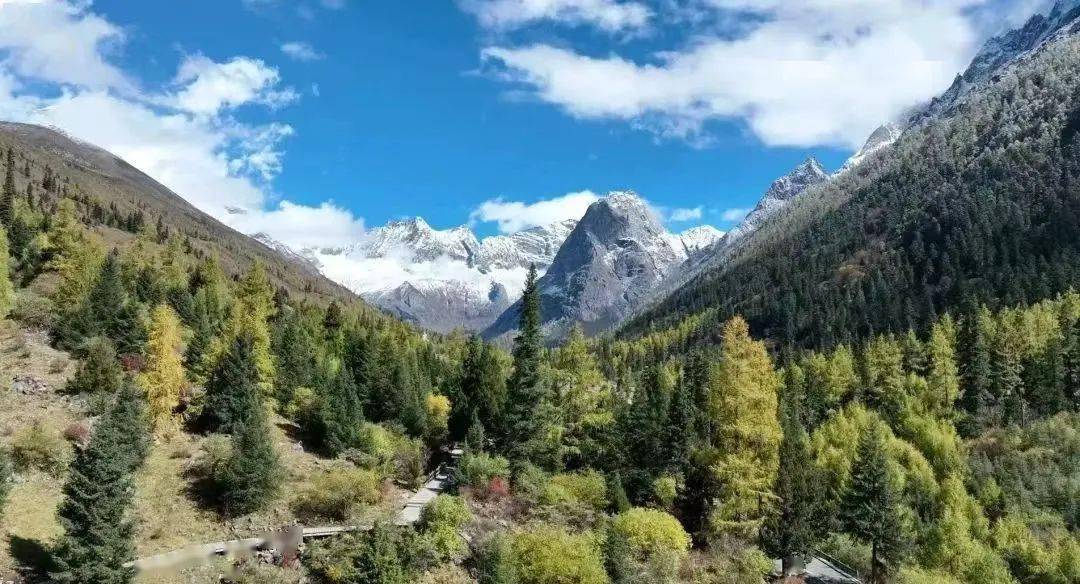 七宝中学读书节"金秋硕果"教职工摄影作品展示_秋色_红叶_古镇