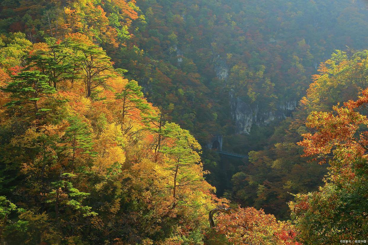 四川米仓山景区就大量游客夜晚滞留山上致歉_受伤_相关_情况
