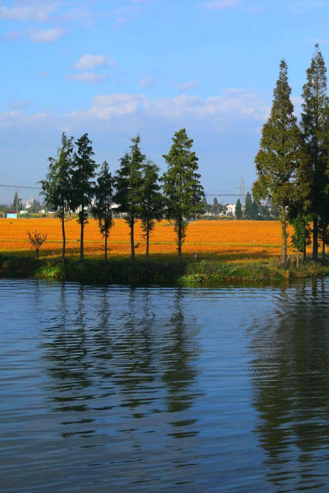 【图说·绍兴】东鉴湖风光掠影_清素_显得_摄影