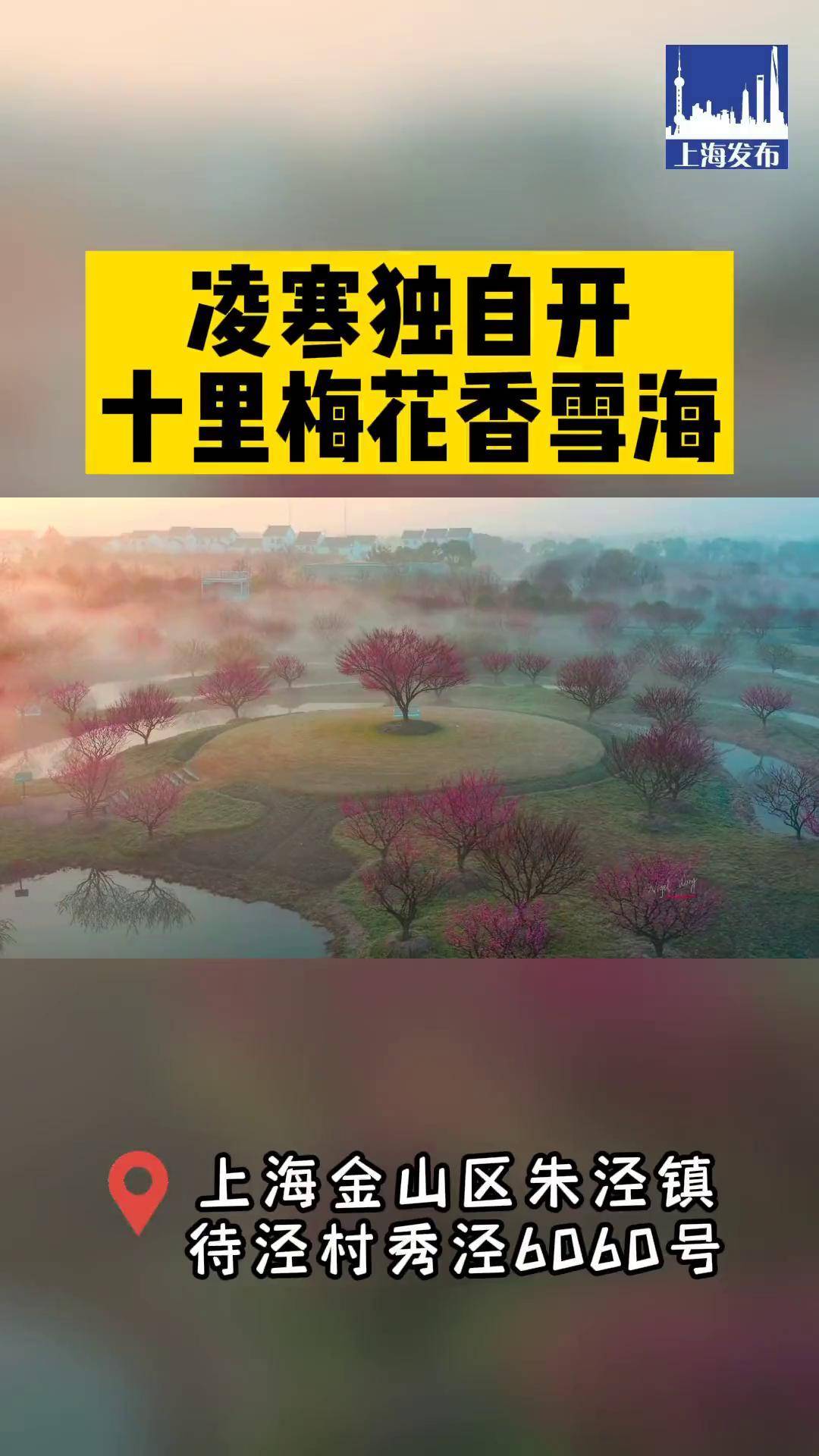 花开海上生态园花期表图片