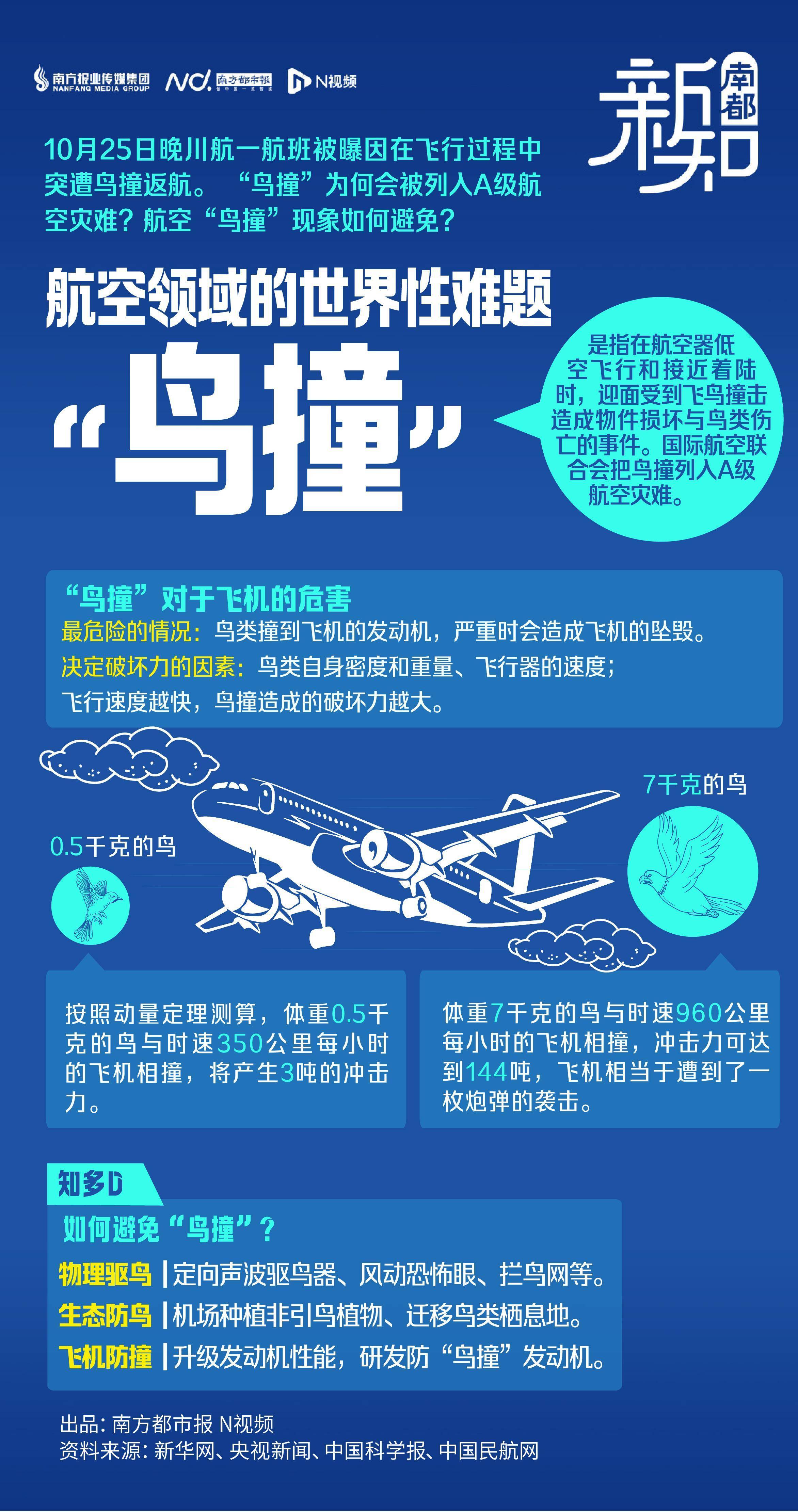 揭秘世界性航空难题"鸟撞" :一只海鸥或致机毁人亡_飞机_鸟类_中国