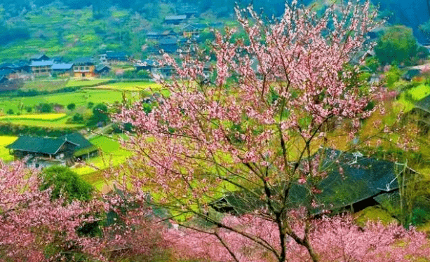 娄底6大最美中国传统村落,山清水秀桃源人家