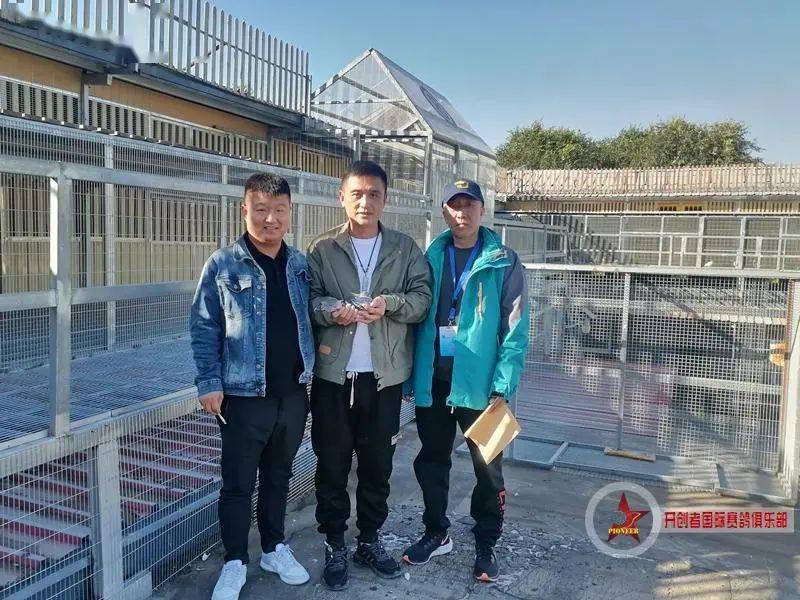 环号3685前两关综合第十名:李松山 王爱军 马修鲁脚环号1359汉诺威种