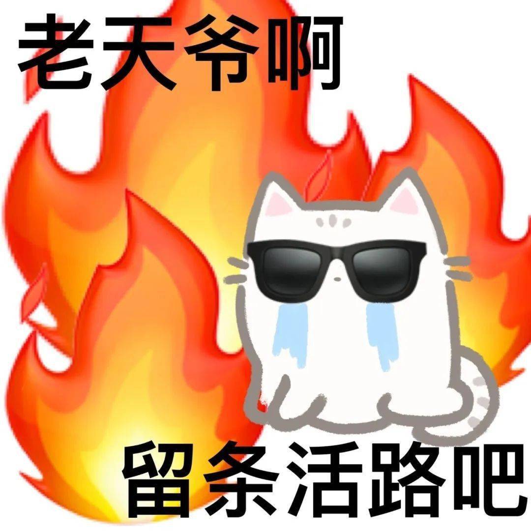 热门微信表情包:你来打我呀傻狗_兄弟_公众_朋友