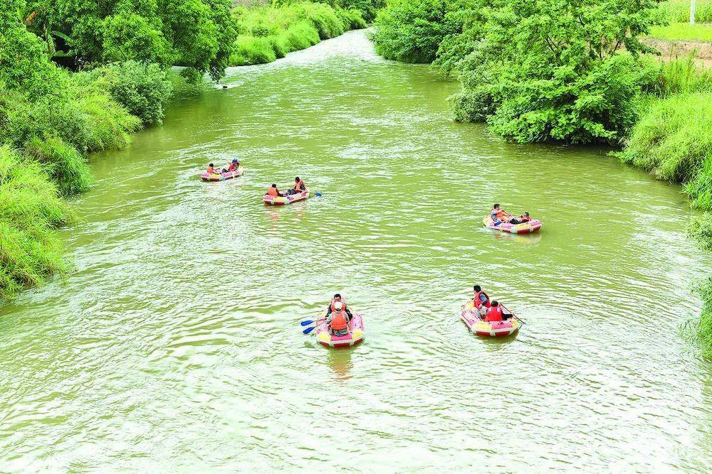 《右江日报》今日关注 | 壮美高速过家门 西林盛开"幸福花"_旅游_田西