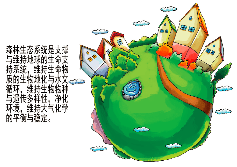 生态系统与生态过程所形成及维持的人类赖以生存的自然环境条件与效用