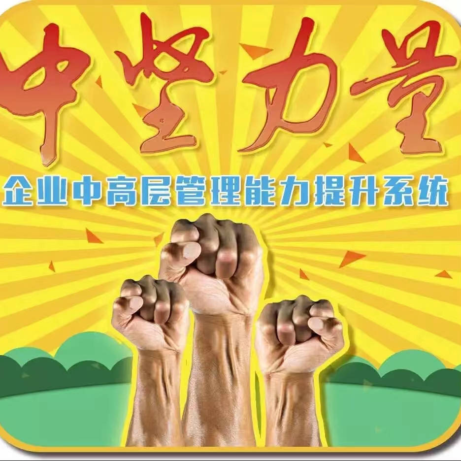 企业中坚力量课程