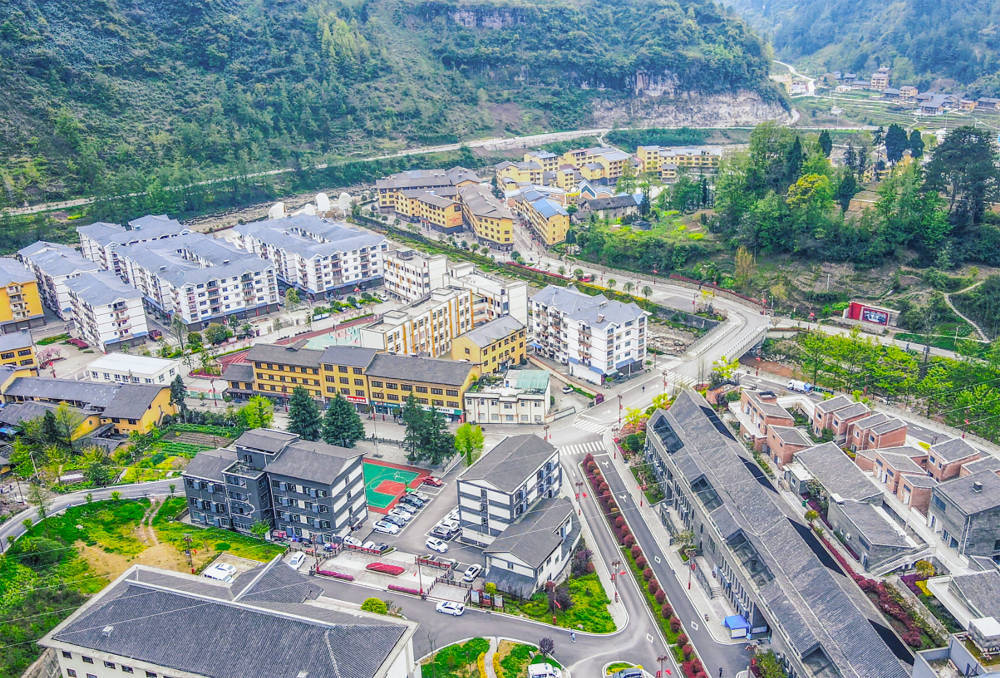 石柱中益乡以蜂为媒促乡村发展_蜜蜂_授粉_花仁淑