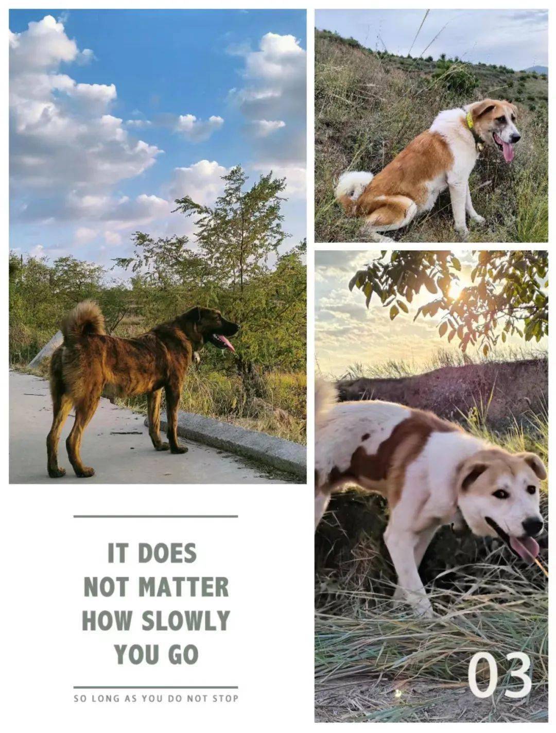 插图/作者作者简介张盛平,平遥古城人,海军后勤学院毕业,在海军xx基地