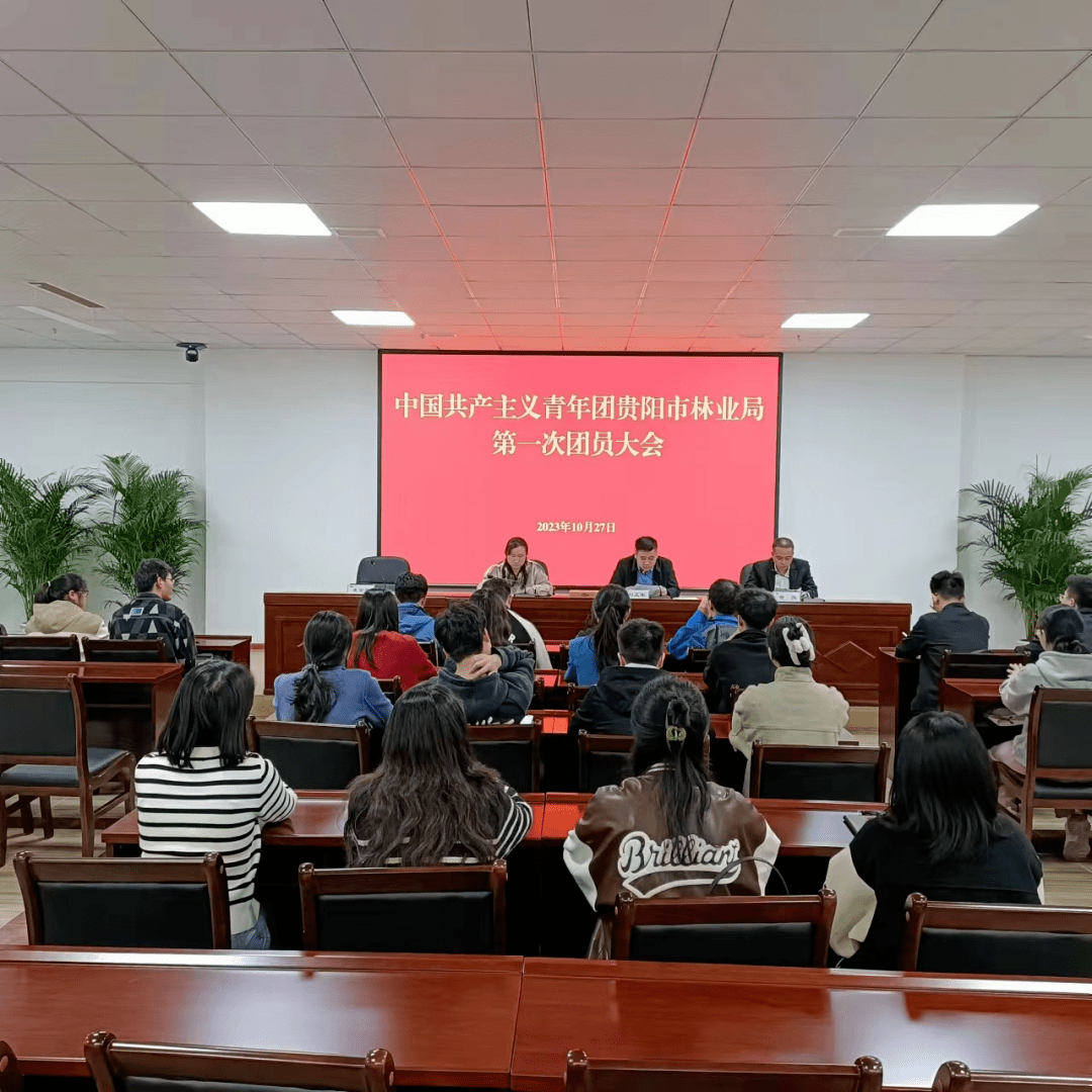 中国共产主义青年团贵阳市林业局第一次团员大会召开_会议室_同志_生力军