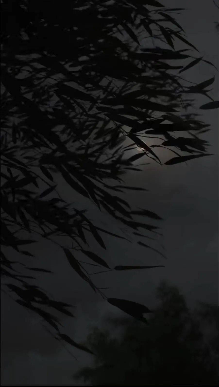 年少时射出的子弹,现在正中眉心_孔乙己_亲人_图片