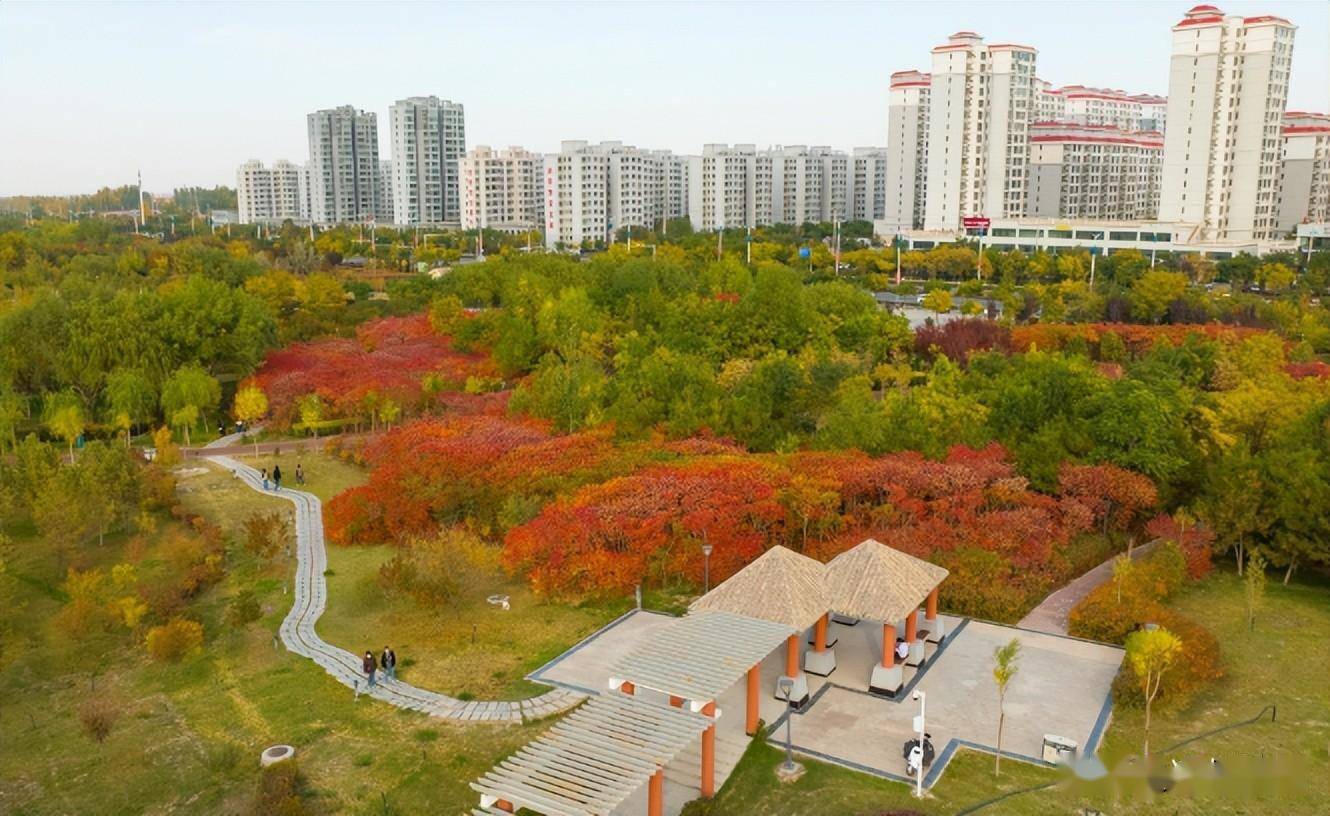 组图丨武威天马湖公园秋意浓_运动_来源_树木