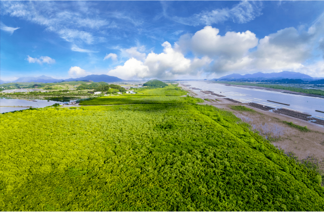来源:广东林业凭湿地一期门票即可免费参观湿地寻梦园湿地露营区(公益