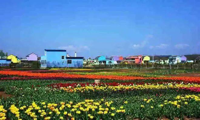 老君山旅游景区,禹平川秦岭原乡旅游景区,玫瑰小镇,洛南锦绣大地景区