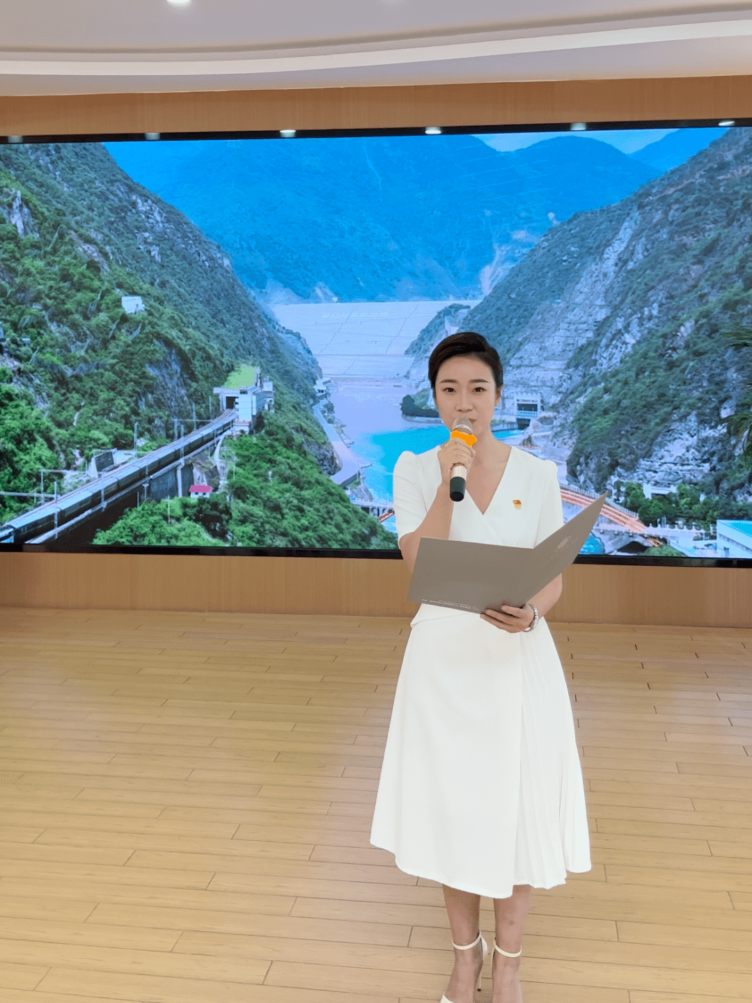 《承文化脉络 兴崇文潜江》潜江中学 杜万欣《温暖潜江》★三等奖江汉