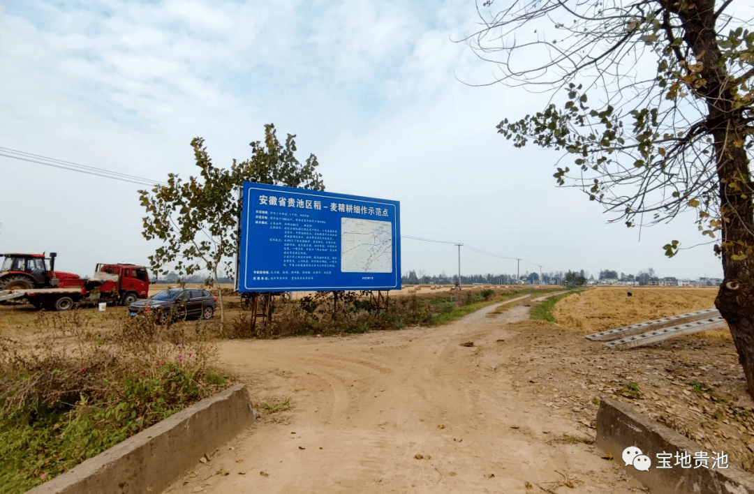 秋江街道:秋收秋种忙 绘就好"丰"景_贵池区_种植_田地