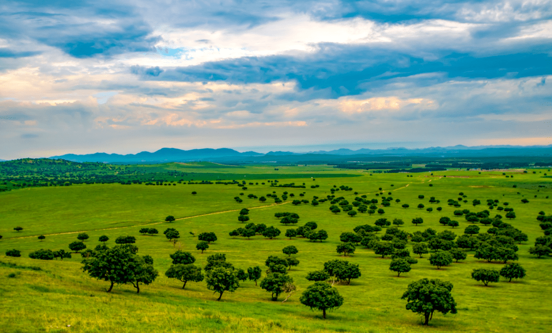 旅游日历|2024年科右中旗旅行时间表新鲜出炉!你最想去哪玩?