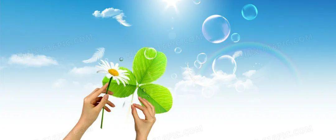 寻找四叶草文/龙良如找到长着四片叶子的幸运草,就能找到幸福.