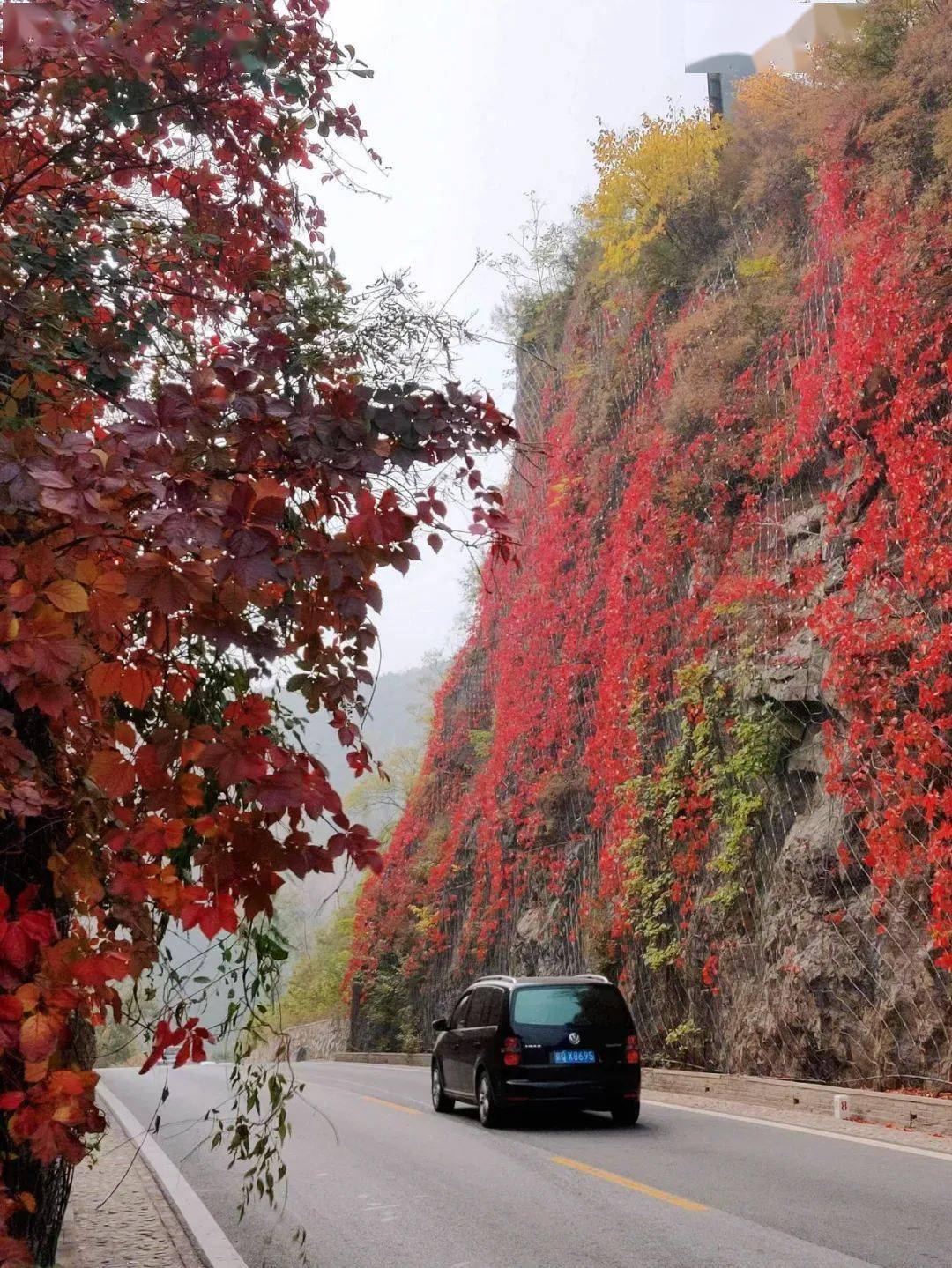 李雅萱泽州公园平泉市党坝镇刘杖子村(魏硕涵)欢乐谷(王明悦)西山公园