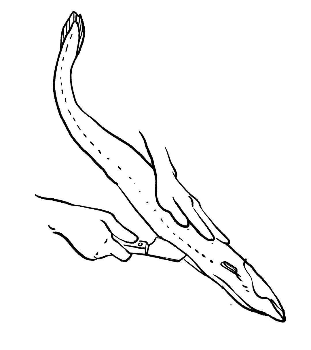 好好吃|海边的晒秋,螺门人最懂_舟山_老郑_海鱼