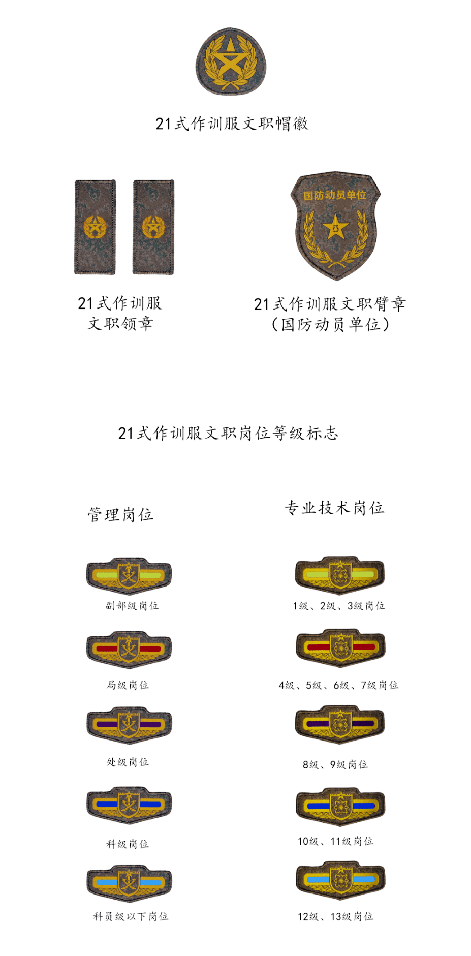军队文职人员服饰与标志大全今天小编带你走进