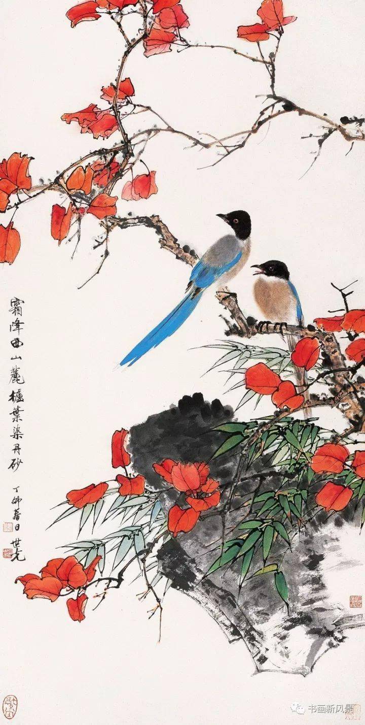 红叶小鸟56幅，漂亮极了！_搜狐网