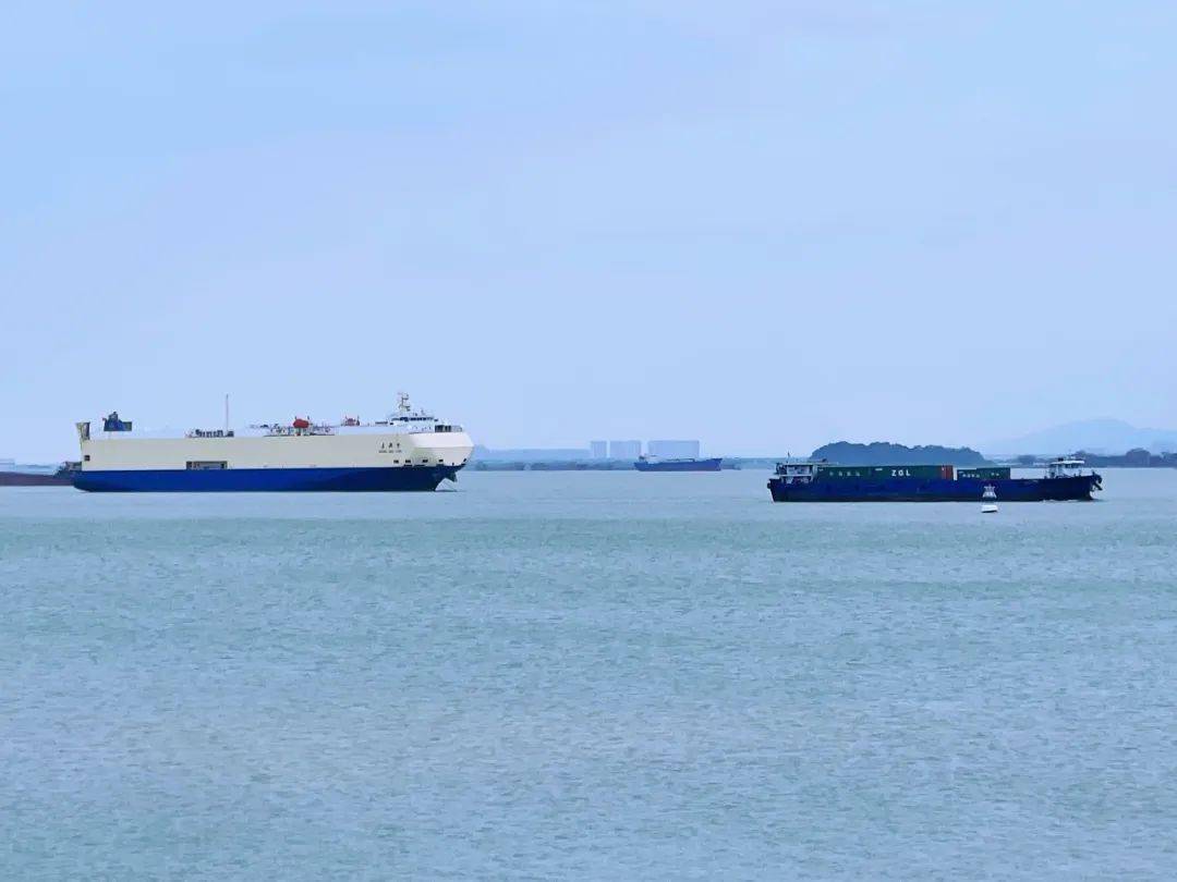 虎门这片沙滩,开放了!_区域_东莞_综合