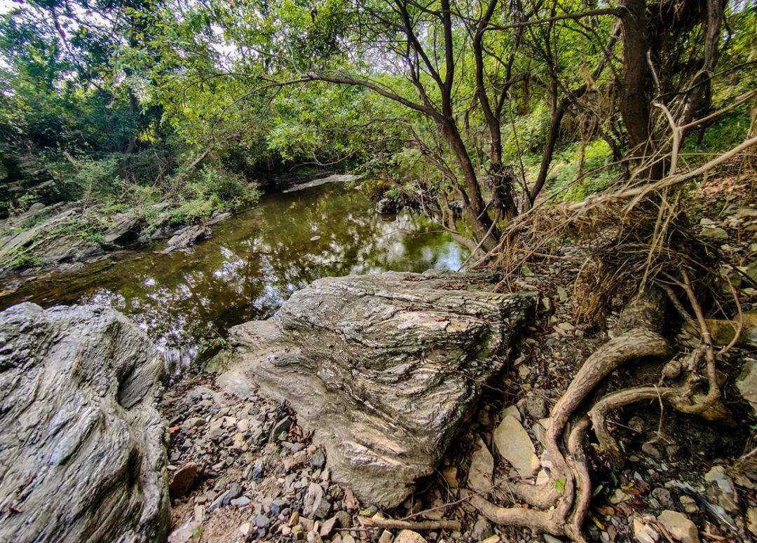 這裡新發現一處野生秘境|520安徽文旅惠民消費季_自然美_岩石_藤蔓