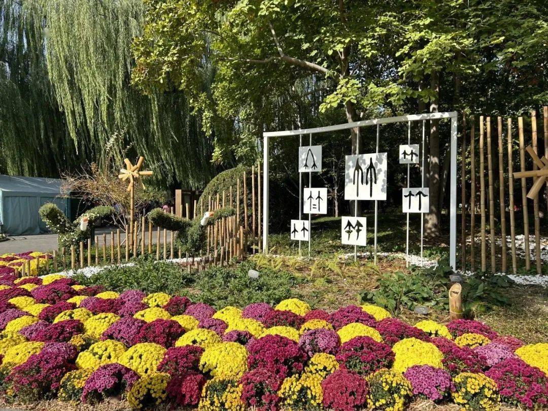 赏菊正当时,这份秋日美景别错过_菊花_北京市_紫竹院公园