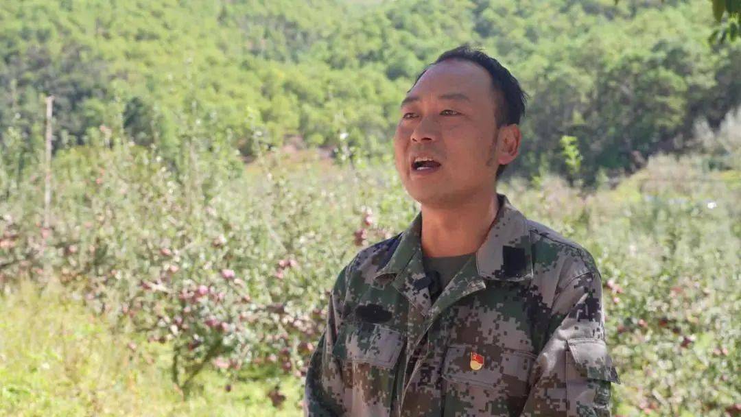 宾川:平川"糖心苹果"甜蜜上市!_园村_李子_种植