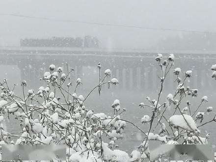 雪国风光! 辽宁铁岭雪中世界宛如水墨画卷_郭慧君_飞雪_图画