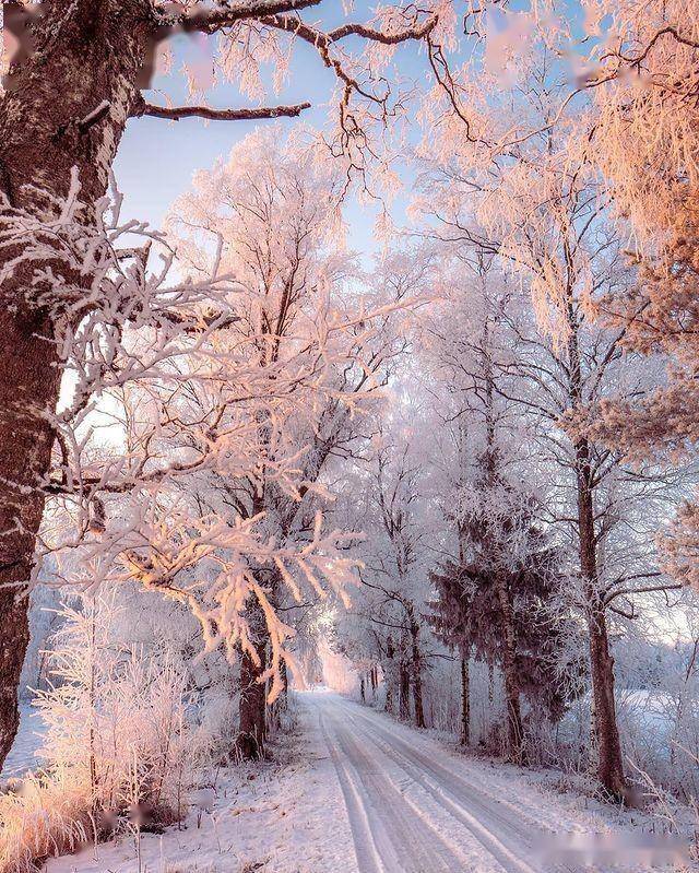 冬天雪景怎么拍好看,4句雪景摄影口诀,帮你拍美雪景照片_对比_雪地