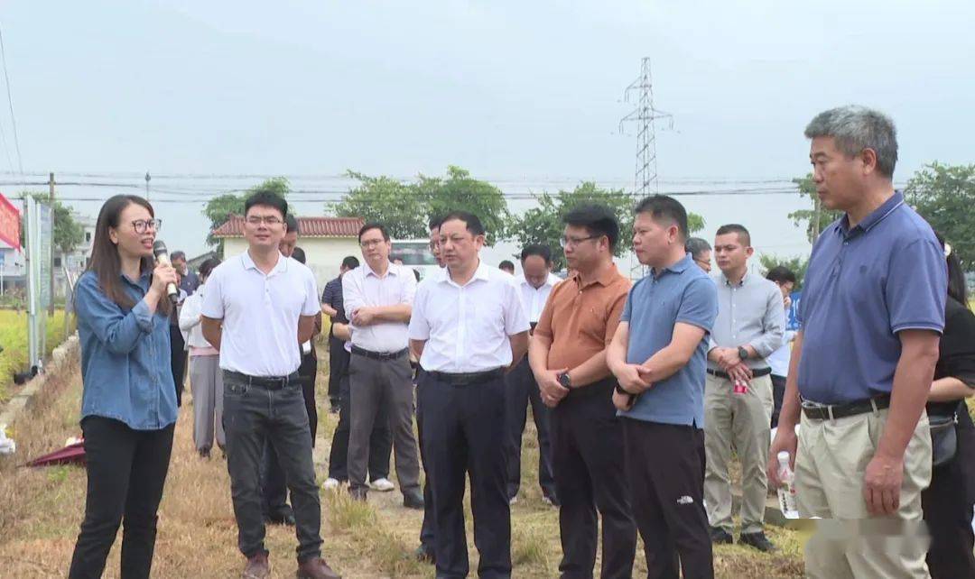 宾阳水稻高产的背后,原来离不开……_新品种_技术_单产