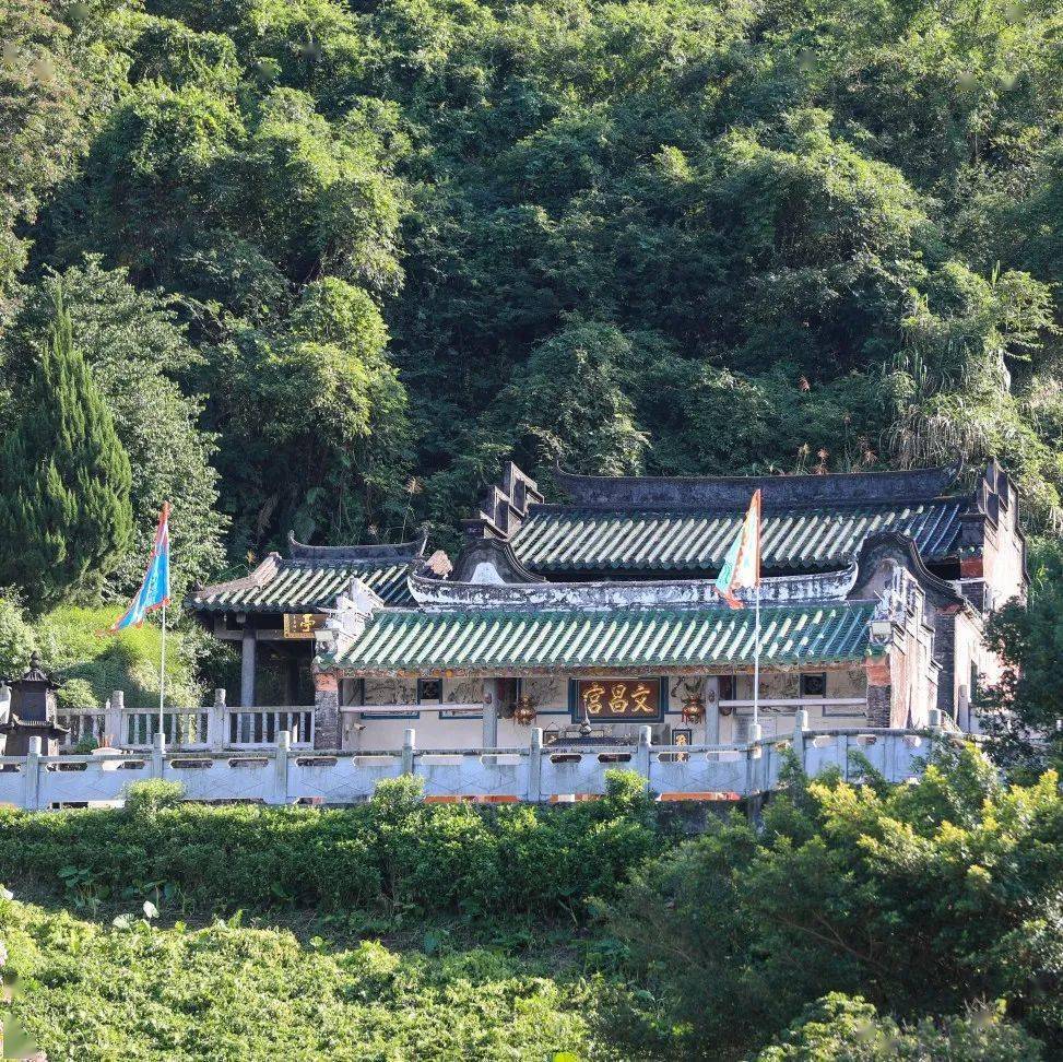 秋日惠东带娃好去处!一起相约九龙峰!_养殖_生活_加工